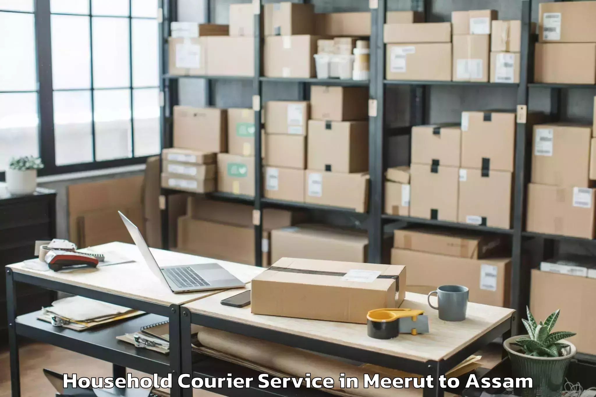 Discover Meerut to Patharighat Household Courier